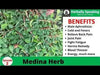 Medina popular Jamaican herb,1/4 OZ PACK - Caribbean garden seed