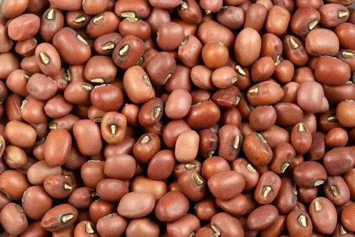 MUNG BEAN Seeds ~ , Red Mung Bean, Food or Growing, Asian Vegetable - Caribbean garden seed