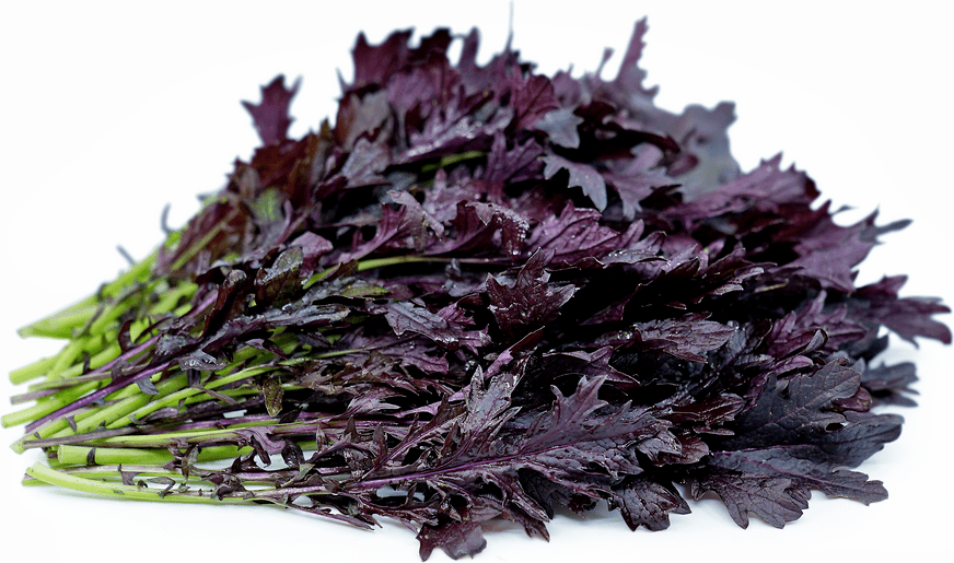 Mustard Seeds - Mizuna ,Dark purple