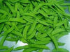 Dwarf Sugar Grey Snow Pea, Heirloom,vegetable Seed, NON-GMO , Organic ! - Caribbean garden seed