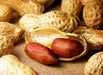 Champ Peanut Seeds ( Out Shell) early maturing Virginia-type peanut. - Caribbean garden seed