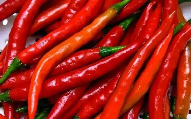 Cayenne SWEET, Pepper Seeds -Capsicum annuum - Caribbean garden seed