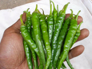 Cayenne SWEET, Pepper Seeds -Capsicum annuum - Caribbean garden seed