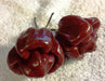 FOODARAMA Scotch Bonnet -CHOCOLATE (Capsicum chinense) PEPPER SEEDS - Caribbean garden seed