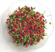 Little Elf Hot Pepper SEEDS ( Capsicum annuum ) - Caribbean garden seed