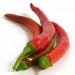 Lombok Chili Hot Pepper, PEPPER SEEDS ,Capsicum annuum - Caribbean garden seed