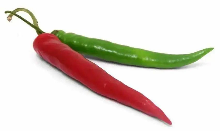 Lombok Chili Hot Pepper, PEPPER SEEDS ,Capsicum annuum - Caribbean garden seed