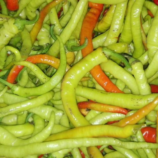 Pepper Seeds -Pepperoni sweet, - Caribbean garden seed