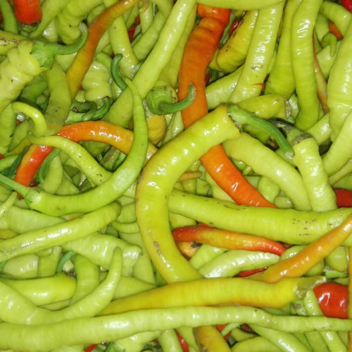 Pepper Seeds -Pepperoni sweet, - Caribbean garden seed