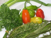 Trinidad pimento peppers Seeds, (Capsicum chinense) Caribbean SEASONING PEPPER - Caribbean garden seed