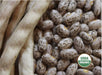 Pinto Bean Seeds ,Grow Pinto beans - Caribbeangardenseed