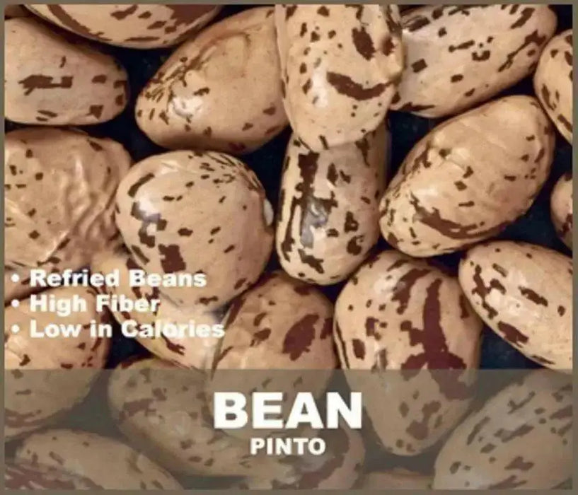 Pinto Bean Seeds ,Shell & Dry BUSH Bean -Organic - Caribbean garden seed