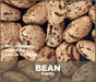 Pinto Bean Seeds ,Shell & Dry BUSH Bean -Organic - Caribbean garden seed