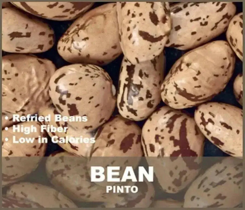 Pinto Bean Seeds ,Shell & Dry BUSH Bean -Organic - Caribbean garden seed