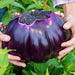 Prosperosa Eggplant Seeds- HEIRLOOM Italian Vegetable - Caribbeangardenseed