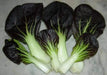 Purple Baby Pak Choi SEEDS-Asian Vegetable - Caribbeangardenseed