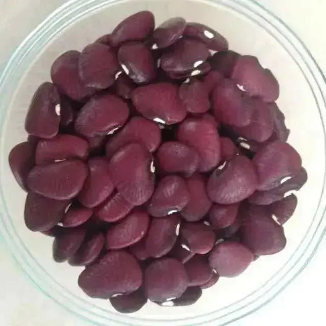 Purple Lima Bean,10 SEEDS ( POLE BEAN) Heirloom, Non Gmo Untreated - Caribbean garden seed