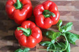 Red bell peppers Seeds,california wonder Capsicum annuum Organically Grown - Caribbean garden seed