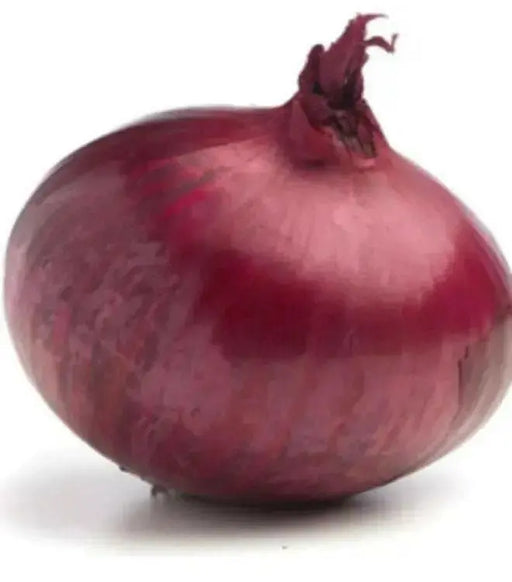 Red  Onion Plants-AKA,Red Sweet - Caribbean garden seed