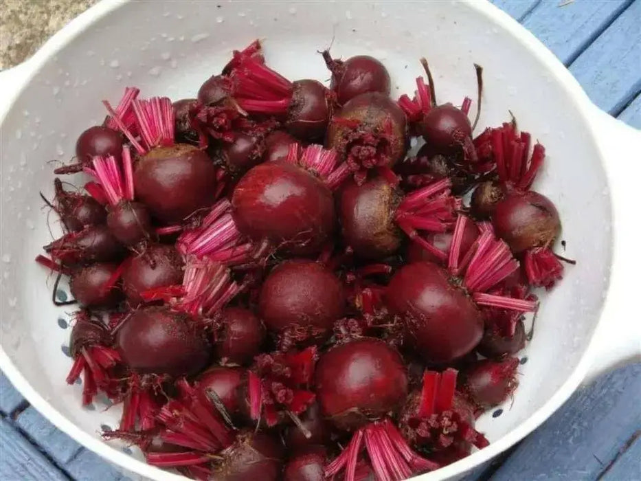 Ruby Queen Beet Seed Can be planted from early spring or late summer - Caribbean garden seed