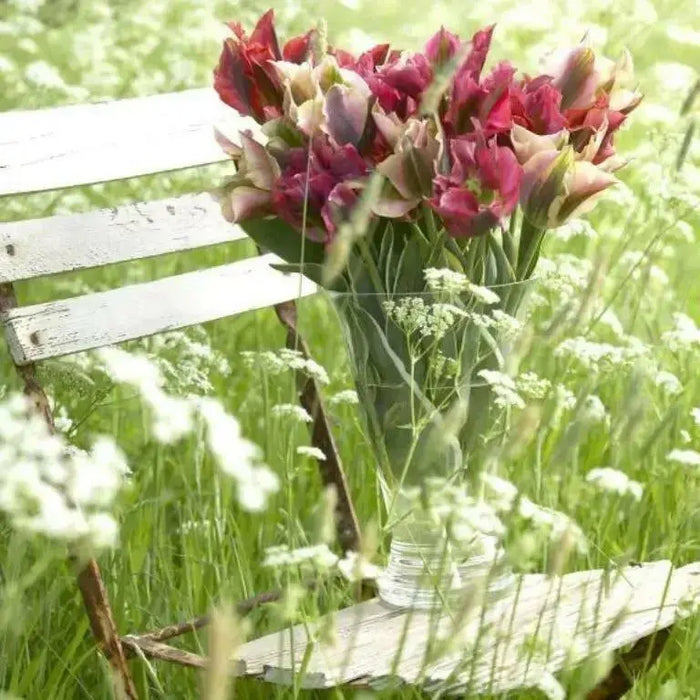 Spring Green mixed ,Tulip Bulbs , Fall Planting - Caribbean garden seed