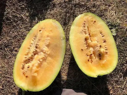 Sweet Siberian ,Watermelon Seeds, HEIRLOOM VEGETABLE - Caribbean garden seed