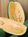 Sweet Siberian ,Watermelon Seeds, HEIRLOOM VEGETABLE - Caribbean garden seed