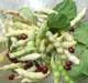 True Red Cranberry Bean, (Pole Bean) - Heirloom , - Caribbean garden seed