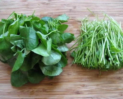 True Watercress Seed ,Asian Vegetable - Caribbeangardenseed