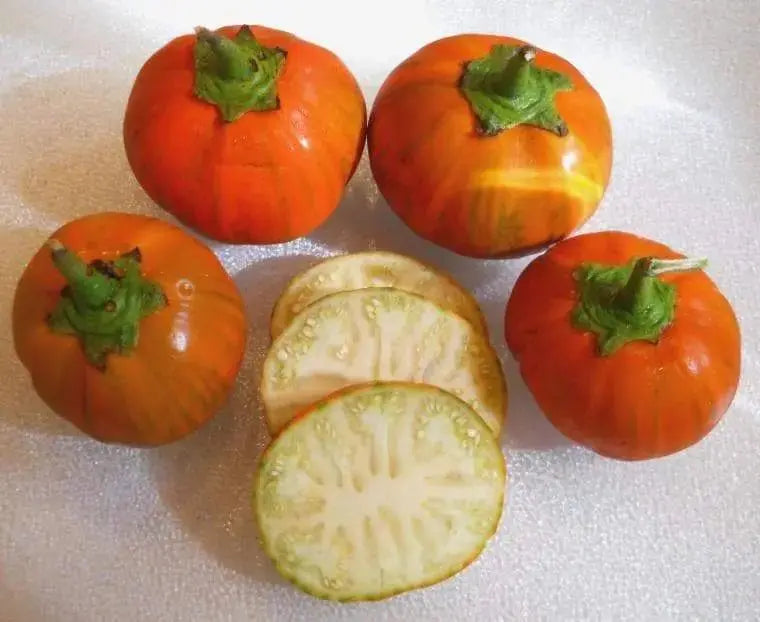 Turkish Orange Eggplant Seeds- Excellent for stuffing!! red-orange fruit. - Caribbeangardenseed