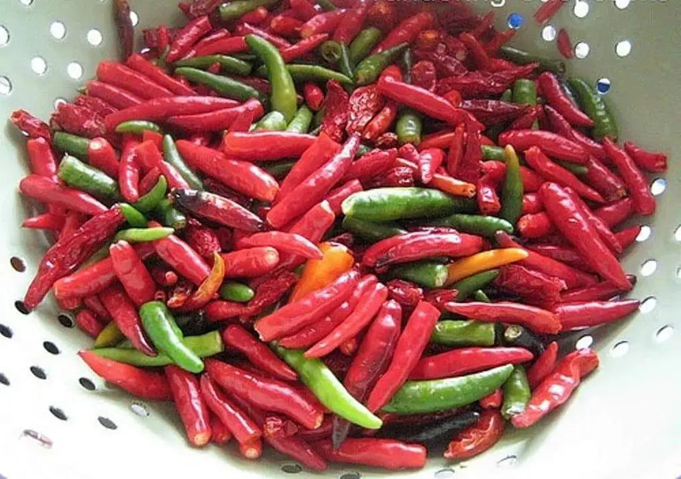 Vietnamese CHILI Pepper SEEDS ( capsicum frutescens) - Caribbeangardenseed