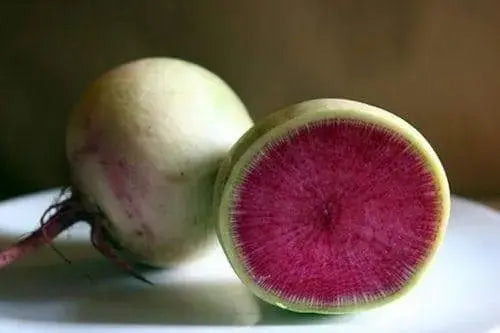 Watermelon Radish ,Red Meat (OP) Asian Vegetable - Caribbeangardenseed