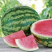 Triple Crown, RED Watermelon seed (Seedless) - Caribbean garden seed