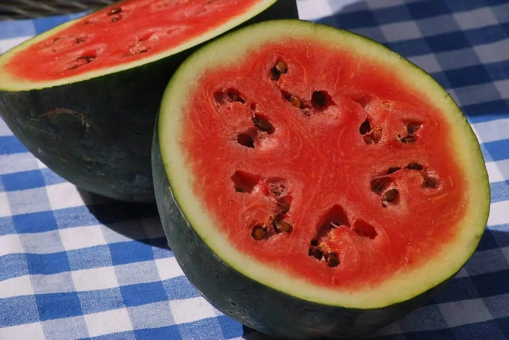 Watermelon seeds, icebox watermelon, Sugar Baby- non-GMO Heirloom ! - Caribbeangardenseed