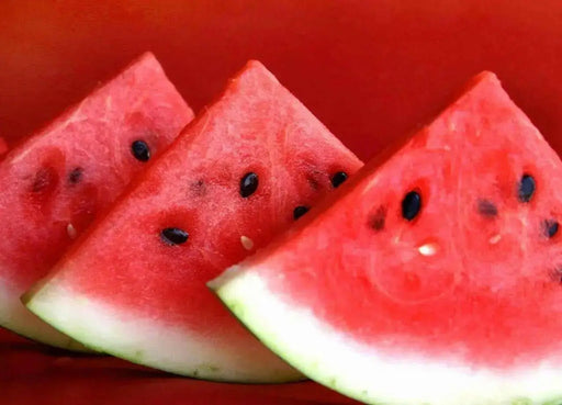 Watermelon Seeds,'Congo'- Non-GMO Heirloom  Large fruit,30 to 50 lbs ! - Caribbean garden seed