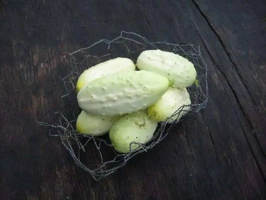 White Cucumber Seeds,Miniature CUCUMBER,ANNUAL VEGETABLE - Caribbean garden seed