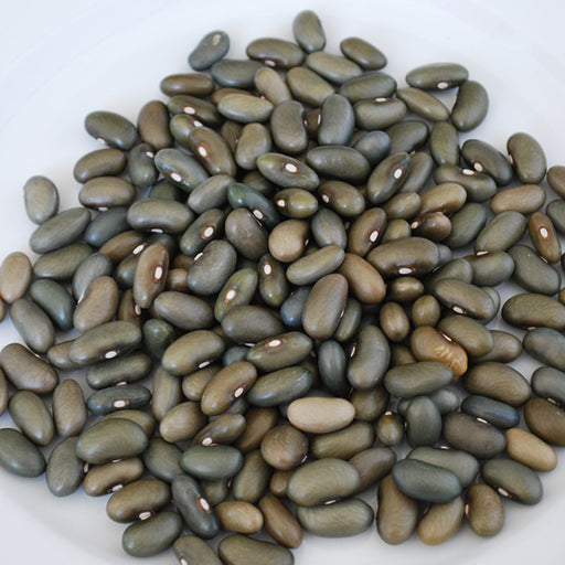 mbombo green bean seed, Pole Bean - Caribbeangardenseed