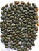 mbombo green bean seed, Pole Bean - Caribbeangardenseed