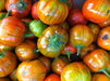 Turkish Orange Eggplant Seeds- Excellent for stuffing!! red-orange fruit. - Caribbeangardenseed