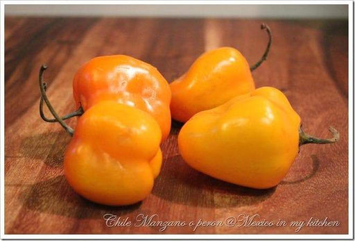 Fresh Pods, Manzano Peppers, APPLE CHILI, SPICY, CARIBBEAN PRODUCT - Caribbeangardenseed