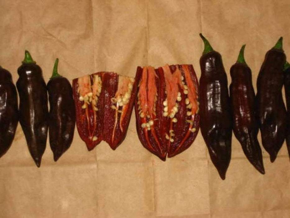 Chocolate Fatalii Pepper Seed ( Capsicum chinense) Very hot Heirloom - Caribbeangardenseed