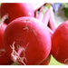 Japanese Red Turnip Seeds, Red Round , Brassica rapa var rapifera. Asian Vegetable - Caribbeangardenseed