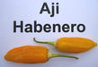 AJI HABENERO PEPPER- 1000 Seeds ( Capsicum baccatum) Medium Heat,Very beautiful - Caribbeangardenseed