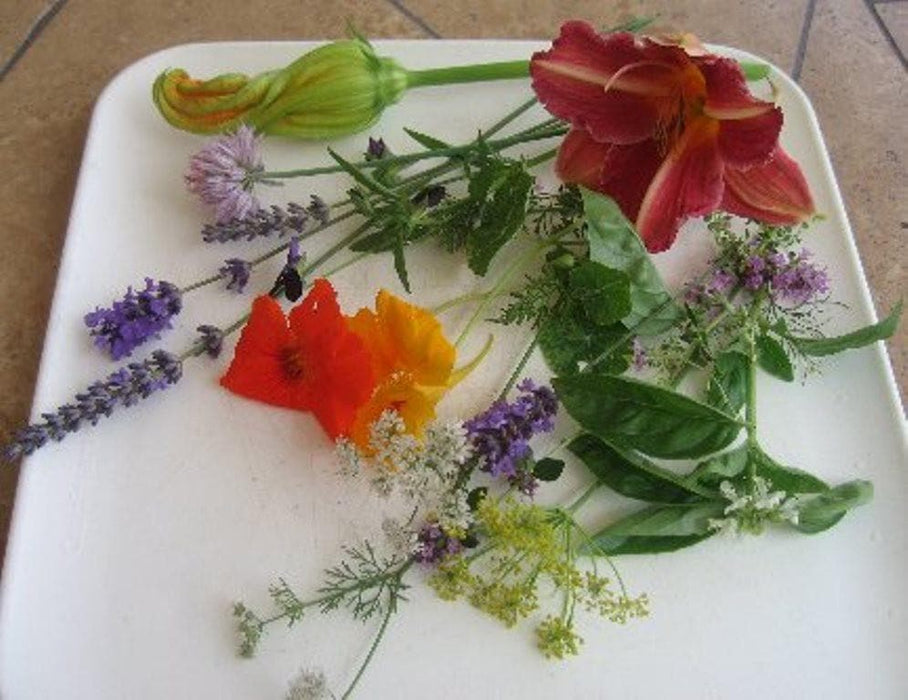 Edible Flower Mix - Fragrant,Colorful and flavorful addition to the garden ! - Caribbeangardenseed