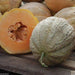 Melon Seeds, "Pride of Wisconsin" (Cucumis melo) Organic.,Heirloom ! - Caribbeangardenseed