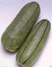 Pickling Melon Seeds "Green Stripe" (Cucumis melo var conomom) Asian Vegetable - Caribbeangardenseed