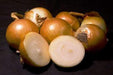 Yellow Spanish Utah Onions,( 2 OZ PACK SEED) Asian Vegetable,LONG DAY - Caribbeangardenseed