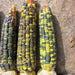 GREEN AND GOLD DENT CORN SEED - Heirloom Grown for centuries. Organic ! - Caribbeangardenseed