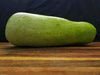Calabash Long" Edible bottle gourd ,Asian vegetable seed - Caribbeangardenseed