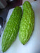 Green SKIN Bitter Gourd Hybrid, Bitter Gourds Seeds - Asian vegetable - Caribbeangardenseed